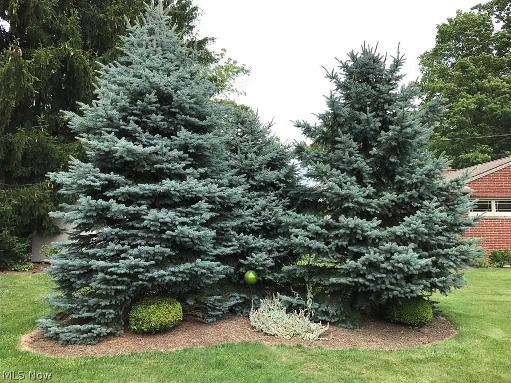 Alliance - Residential