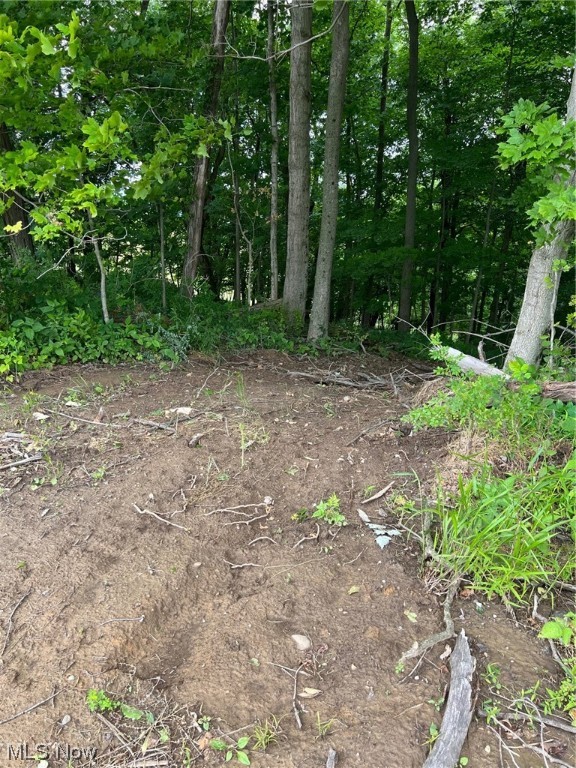 Photo 7 of 9 of 0 Red Bud- 5.75 Acres land