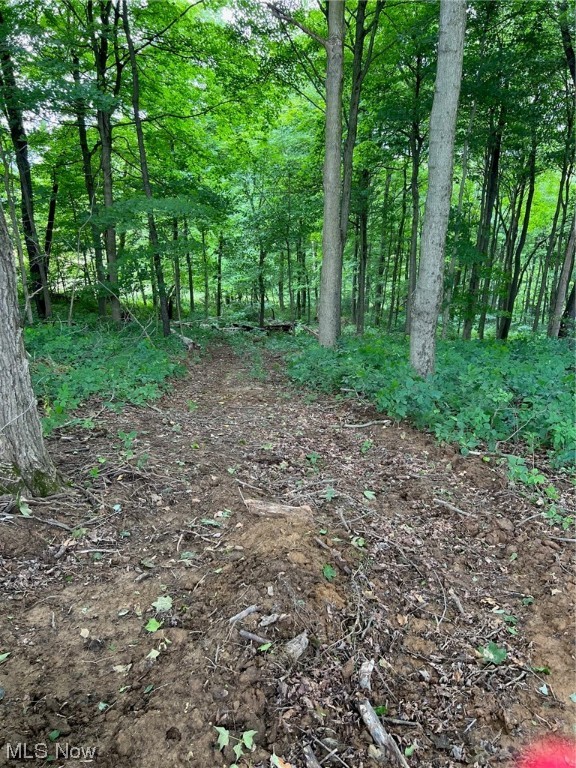 Photo 5 of 9 of 0 Red Bud- 5.75 Acres land
