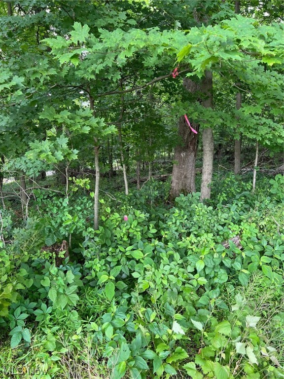 Photo 6 of 9 of 0 Red Bud- 5.75 Acres land