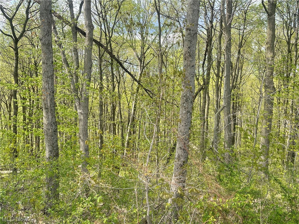 Photo 3 of 9 of 0 Red Bud- 5.75 Acres land
