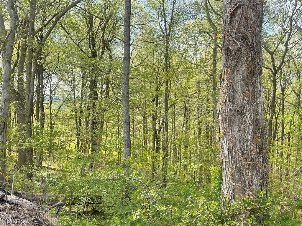 Photo 1 of 9 of 0 Red Bud- 5.75 Acres land