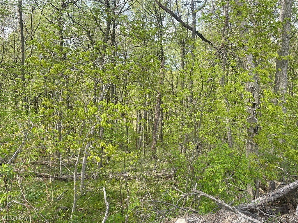 Photo 4 of 9 of 0 Red Bud- 5.75 Acres land