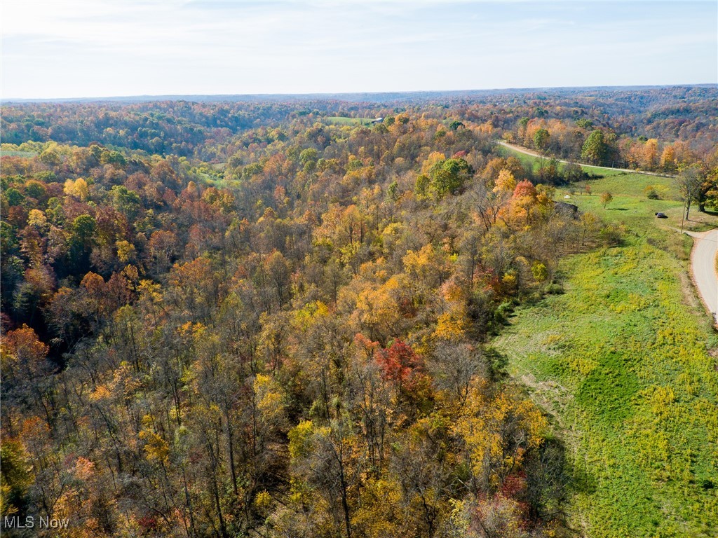 3245 Dixon Ridge Road, Lowell, Ohio image 17