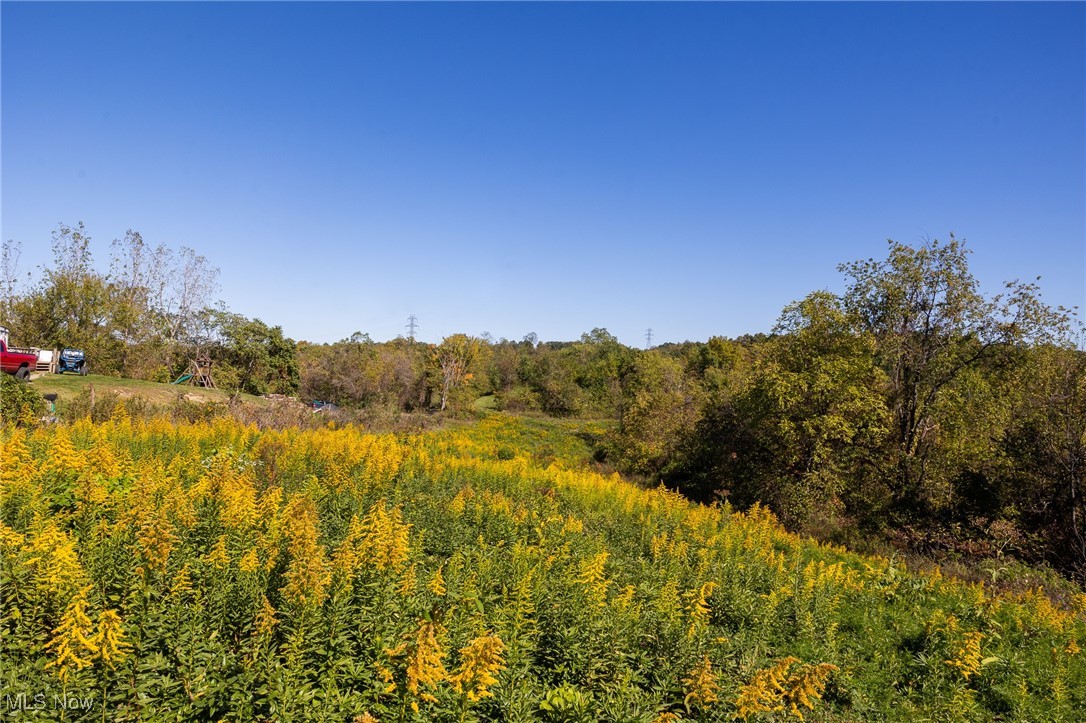 3245 Dixon Ridge Road, Lowell, Ohio image 11