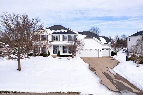 4314 S Fall Lake Drive Avon OH 44011