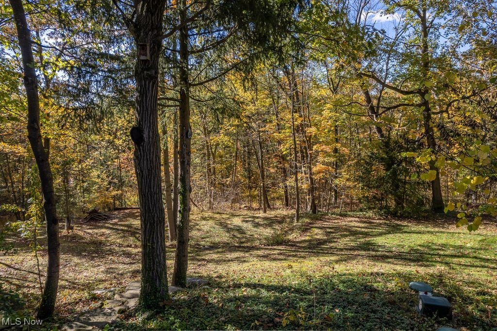 Township/Hinckley - Residential