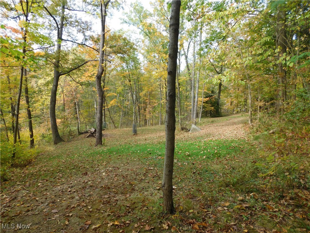 Township/Hinckley - Residential