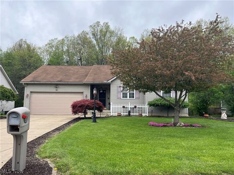 Homes For Sale - 1501 Birch Run Drive<br/> Warren, OH 44483