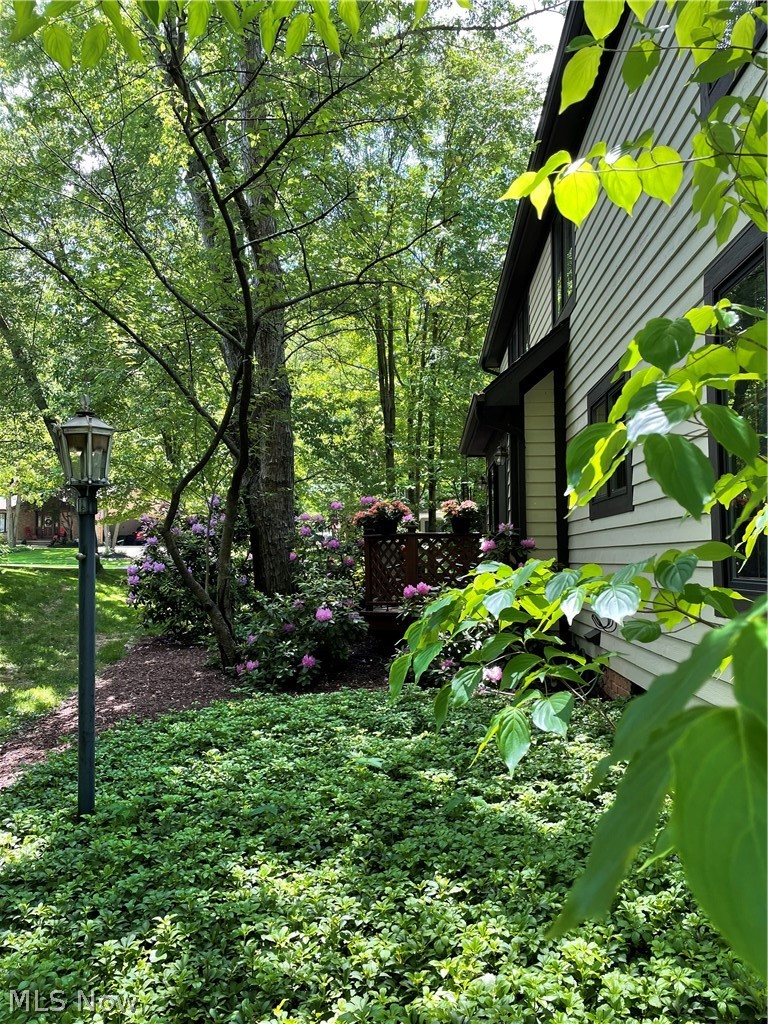 Hunters Crossing - Residential