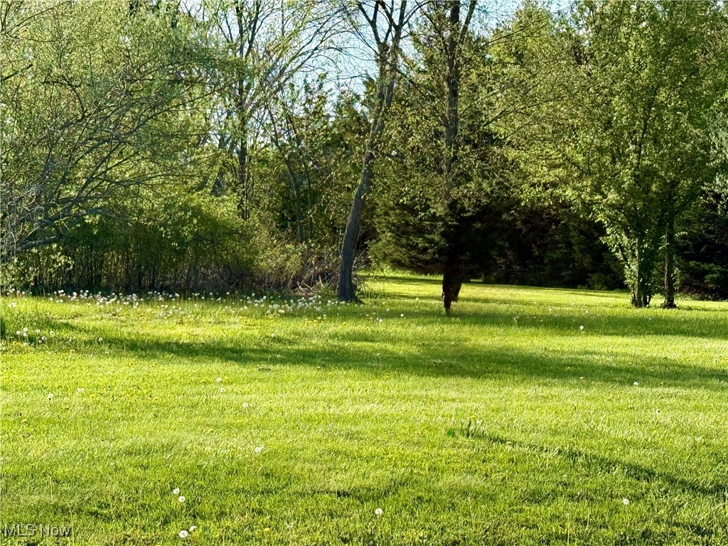49632 Foxwood Lane, East Palestine, Ohio image 3