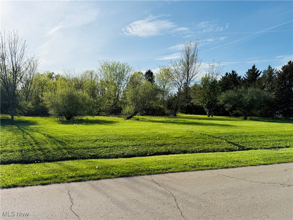 49632 Foxwood Lane, East Palestine, Ohio image 1