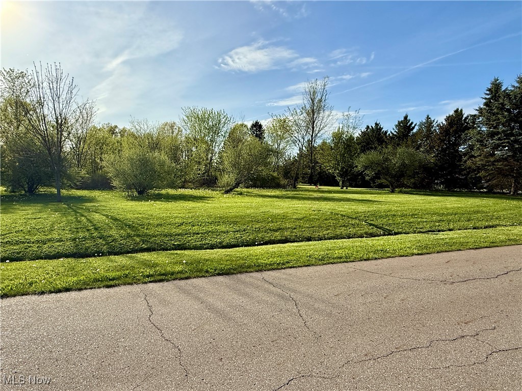 49632 Foxwood Lane, East Palestine, Ohio image 2