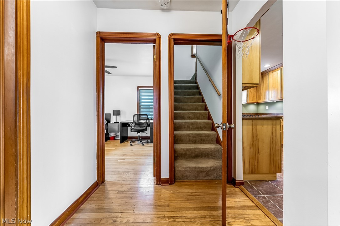 Wooster Park - Residential