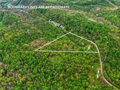 Vacant Land For Sale - 49250 Cowgill Road<br/> Sarahsville, OH 43779