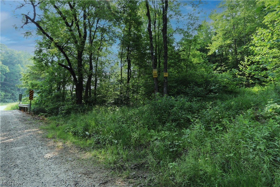 Parcel #5 of 5 is 40.5 acres that has endless possibilities, Scoop this one up and start putting the work in to get ready for this fall. Lots of options here. Ridgetops, valleys, some future timber, and of course the options to buy more property is right here. Purchase a few and be all set when November rolls around and the bucks start rolling. This one would be great to buy with parcel 2 and give you access galore for every wind direction possible. Why wait? Purchase this one today and watch your investment grow.
