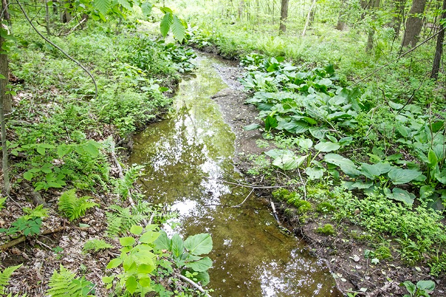 Connecticut Western Reserve - Land