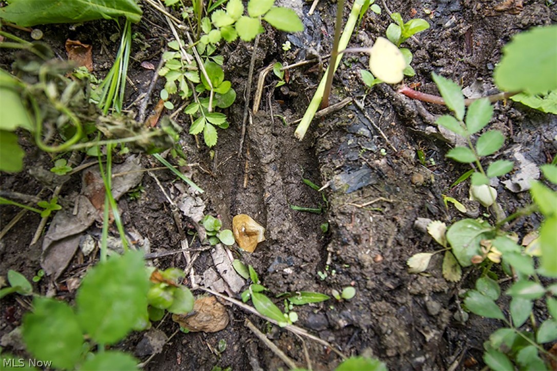 Connecticut Western Reserve - Land