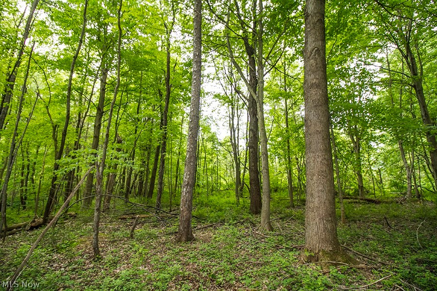 Connecticut Western Reserve - Land
