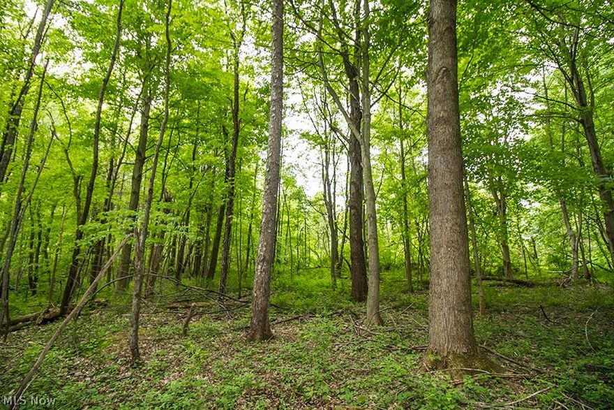 Great hunting and recreational property just minutes from both the Lake Erie shore and the Pennsylvania border.  Just a few miles from I-90.  Nice established openings for food plots with several mature fruit trees.  Great mix of wildlife cover.  Gas and oil rights are negotiable.