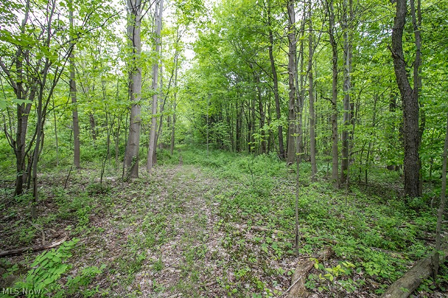 Connecticut Western Reserve - Land