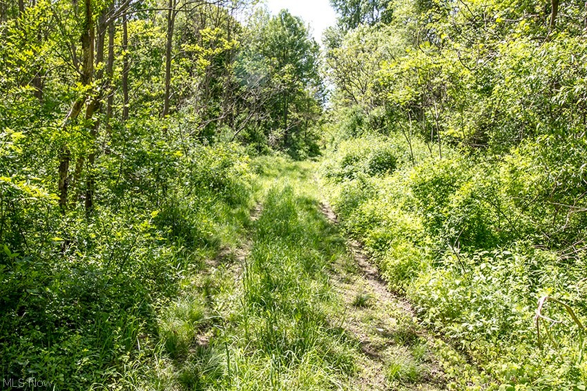 Connecticut Western Reserve - Land