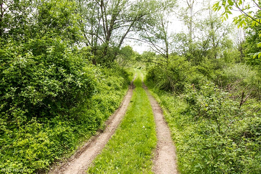Connecticut Western Reserve - Land