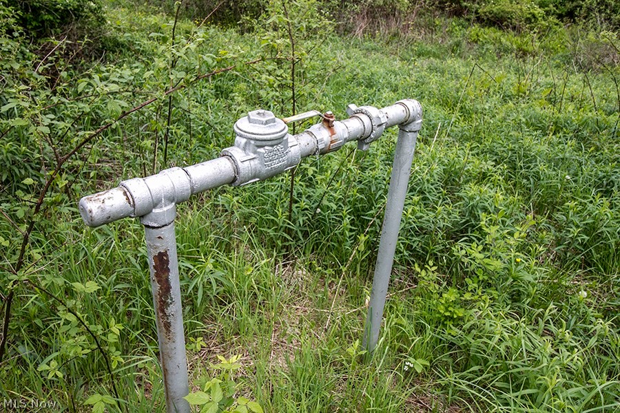 Connecticut Western Reserve - Land