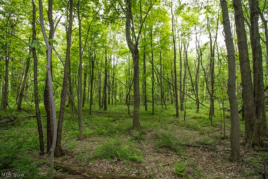 Connecticut Western Reserve - Land