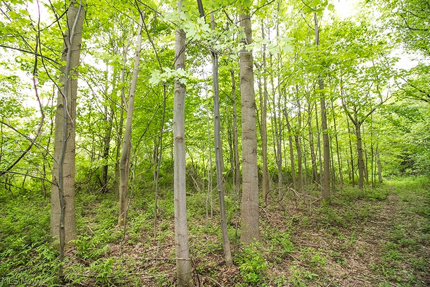 Connecticut Western Reserve - Land