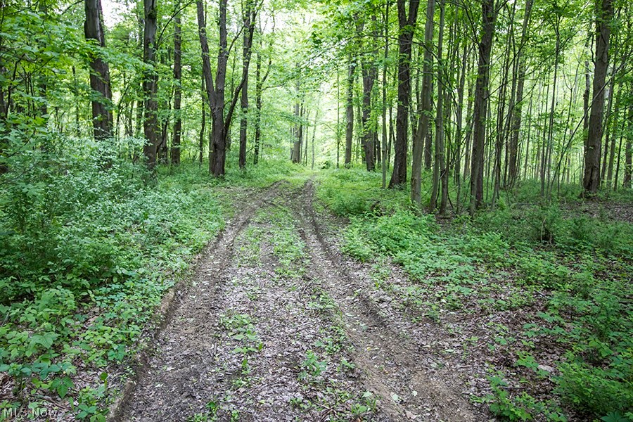 Connecticut Western Reserve - Land