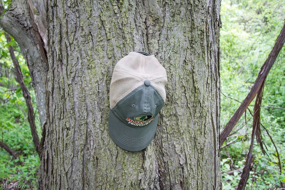 Connecticut Western Reserve - Land