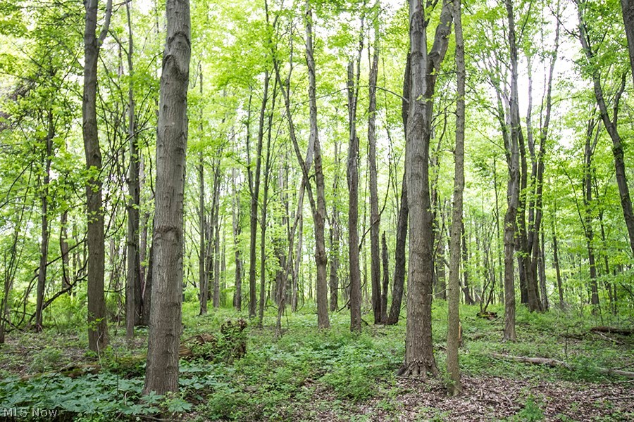 Connecticut Western Reserve - Land