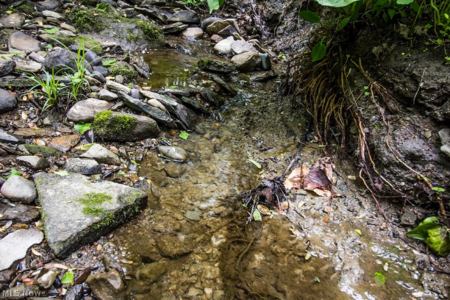 Connecticut Western Reserve - Land
