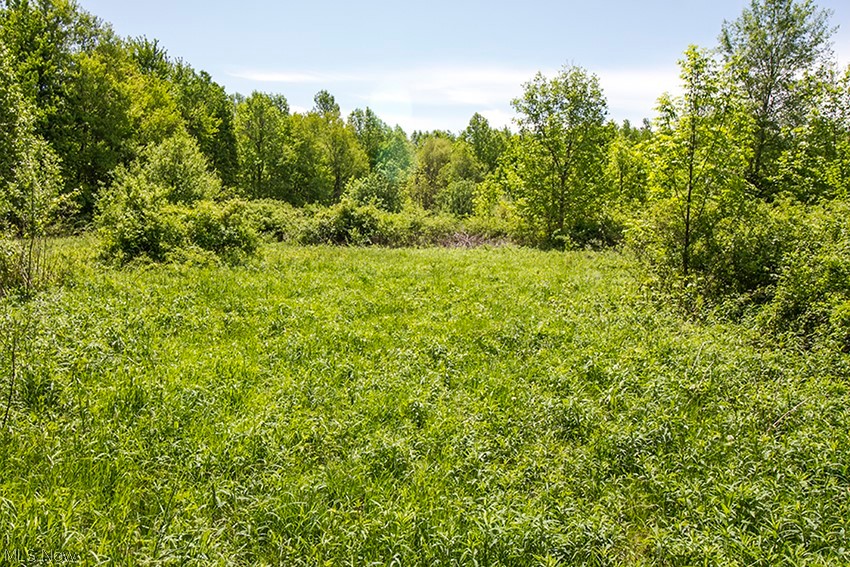 Connecticut Western Reserve - Land