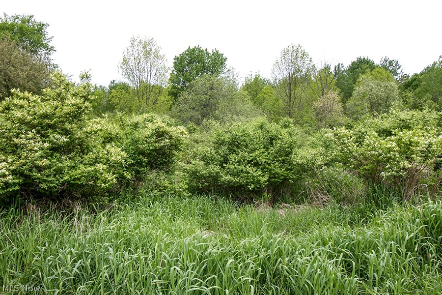 Connecticut Western Reserve - Land