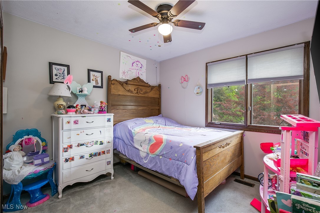 3505 Culver Circle, Canton, Ohio image 23