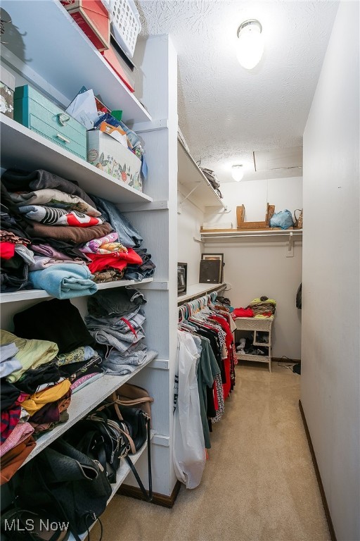 3505 Culver Circle, Canton, Ohio image 16