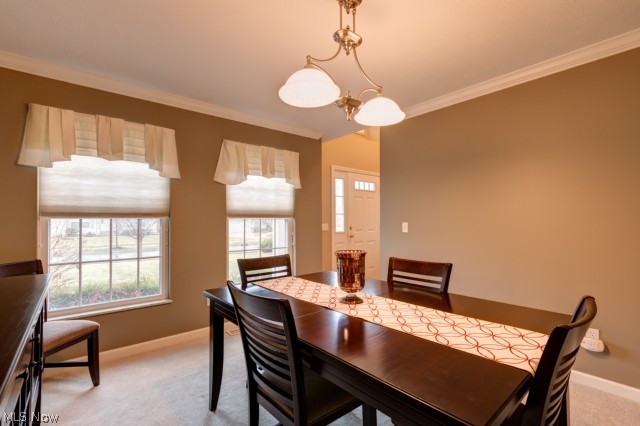 Woodlands Douglas Ph 01 - Residential