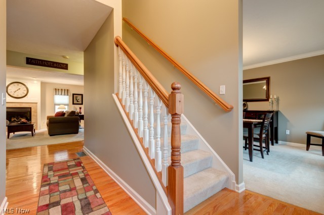 Woodlands Douglas Ph 01 - Residential