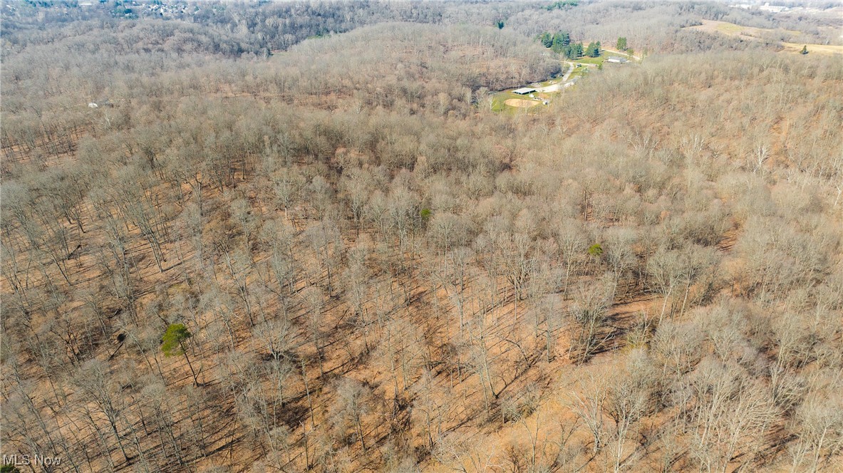 457 Smitherman Road #2, Washington, West Virginia image 10