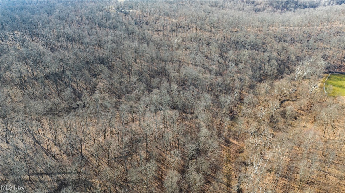 457 Smitherman Road #2, Washington, West Virginia image 18
