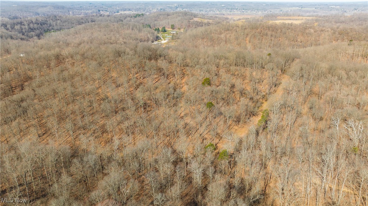 457 Smitherman Road #2, Washington, West Virginia image 14