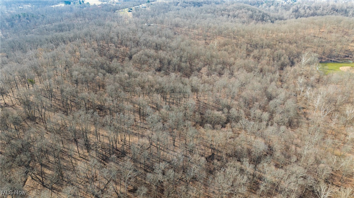 457 Smitherman Road #2, Washington, West Virginia image 11