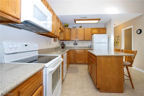 Tiny photo for 1939 Saddlebrook Circle, Wooster, OH 44691 (MLS # 5203312)