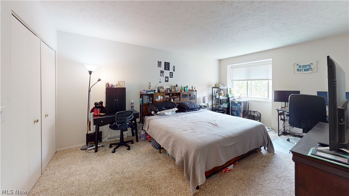 Big Turtle II Condo - Residential