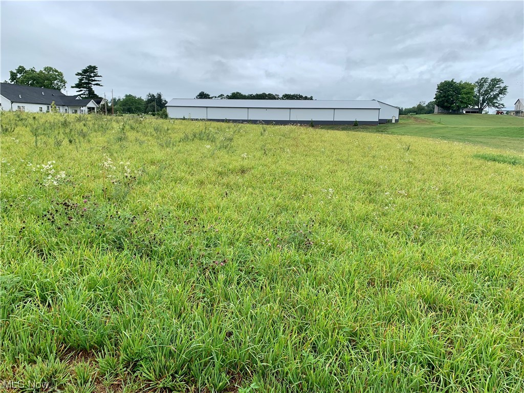 Nice sized lot on 93. Right down the street from Tuslaw Schools. City water and gas available at the street. There is a detention pond on the property. The maintenance and tax liabilities for this are the responsibility of the storage unit facility. There is an exterior surface drain at the rear of the property which exits at the detention pond. Tuscarawas township - NO ZONING! Ready for you to make it your own!
