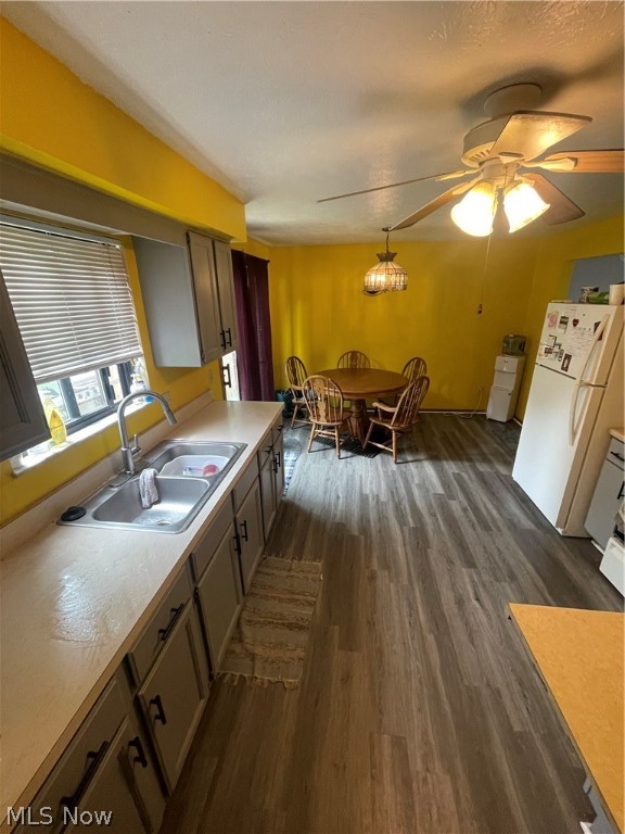 Ottollia Miller Sub - Residential