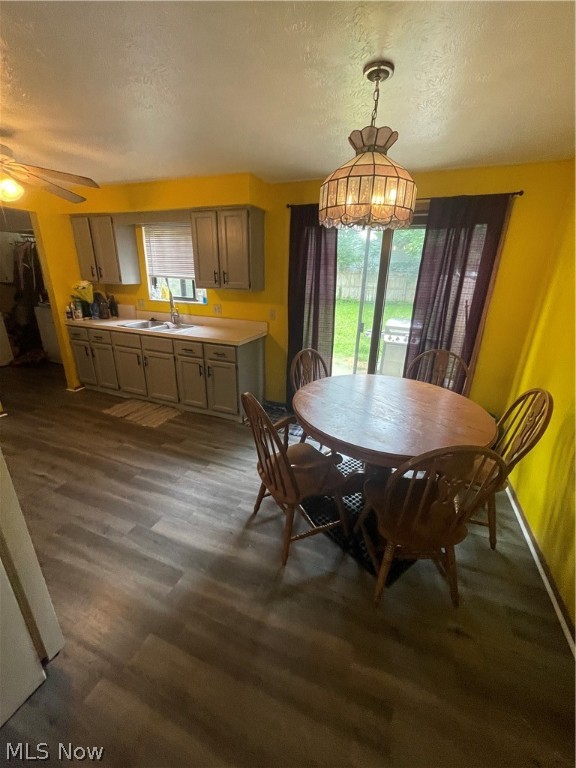 Ottollia Miller Sub - Residential