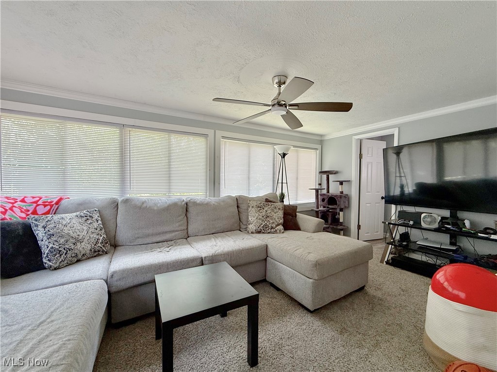 City Park - Residential